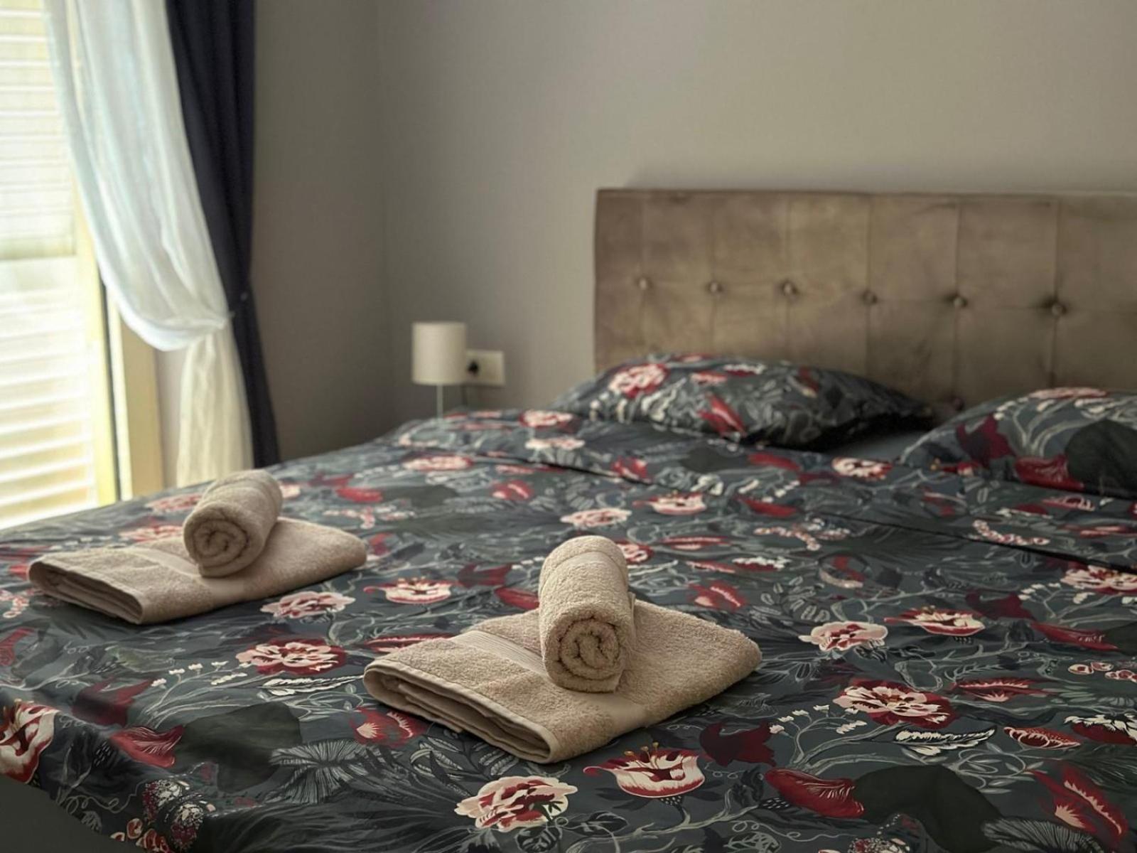 Apartman Tara 티바트 객실 사진